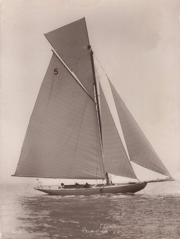 Bluebird 1910 Beekens
